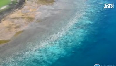 380 млн. долара от Австралия за опазването на Големия бариерен риф