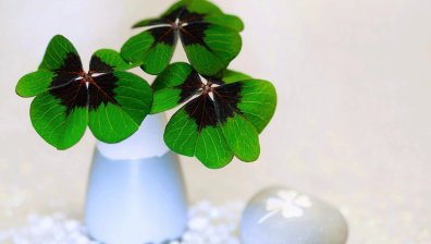 Късмет и любов за три китайски зодии на 30 септември