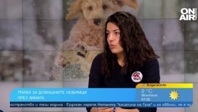 Топла храна и козметика срещу студ - грижата за четириногите през зимата 