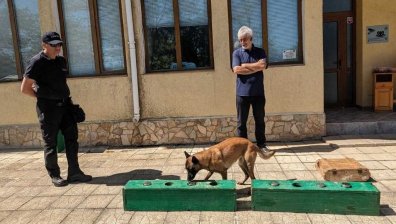 20-годишнина на школата за митнически кучета на Агенция "Митници"