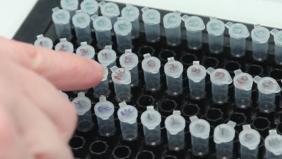 Един починал с Ковид-19, заразените са повече от вчера