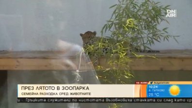 Лятна разходка в зоопарка 