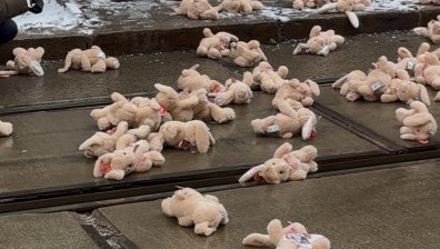 "Да, България" затрупа входа на ВСС с плюшени зайци