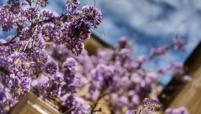 Времето ще се развали скоро, след жегата идват дъжд и гръмотевици