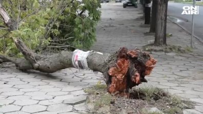 Мощна буря в Плевен и Кърджали предизвика щети