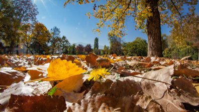 Облаци превземат златната есен и носят дъжд в четвъртък