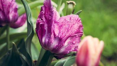 Очаква ни дъждовен четвъртък, циклон от Гърция ни носи лошо време и през уикенда