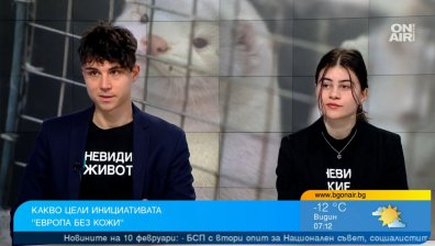 Хиляди българи подписаха петиция за забрана на фермите, отглеждащи животни за кожи