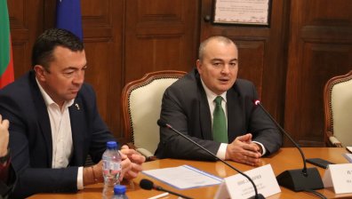 Абровски: Производството на розов цвят у нас се увеличава с 31%, спрямо предходната година