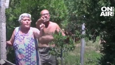 Собственикът на кучето, нахапало дете почти до смърт в Хасковско, се размина с 2000 лв. глоба