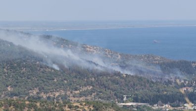 Огнен капан: Огромен пожар край Кавала, пламъците заплашват маслинови гори и борове