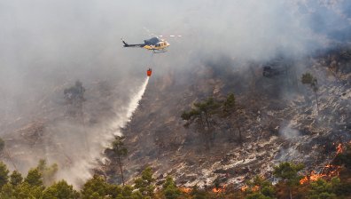 Пожарите в цяла Европа "изядоха" площ, равна на 1/5 от Белгия