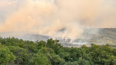 Лозя и сухи треви горят между селата Коларово и Изворово