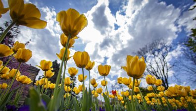 Кратки валежи, но горещо време във вторник