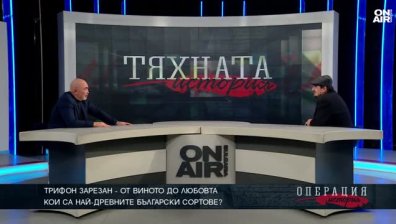 Пелинът като афродизиак: Където и да копнеш в България, може да расте грозде