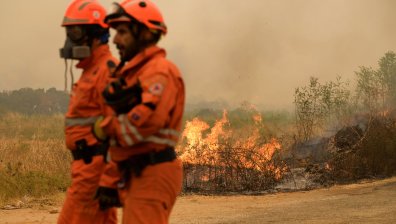 Извън контрол остават пожарите в района на Дадия, силни ветрове разпалват нови огнища