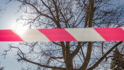 Откриха мъртва изчезналата жена от Дом за възрастни в с. Вратца