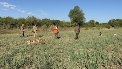 Ловци тръгнали за пъдпъдици в Треклянско, попаднали на нелегални мигранти