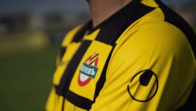 Милиардерът Зингаревич влезе в борда на директорите на "Ботев" (Пд)