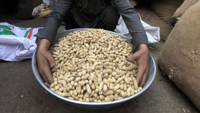 Алергията към фъстъци - откритието, което промени възгледите на учените и лекарите