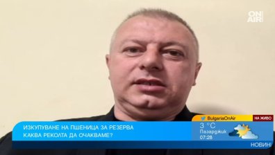 Държавата не изкупува зърно и няма субсидии за сектора, но не се задава зърнена криза