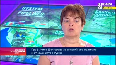 Нина Дюлгерова: В българската енергетика се води ожесточена геостратегическа борба