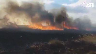 Загасиха пожара, горял край Дуранкулашкото езеро 