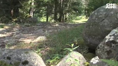 Откриха премръзнала изгубената в Рила туристка