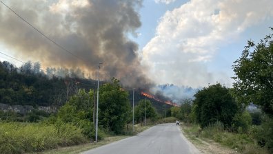 Отново се разгоря пожарът край Русе, огнеборци се борят със стихията