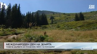 Отбелязваме Международния ден на Земята