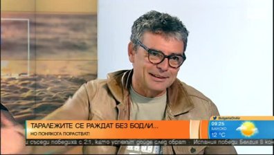Порасналите "таралежи" на българското кино