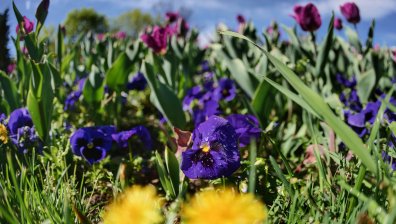 Времето днес: Ветровито, но с пролетни температури