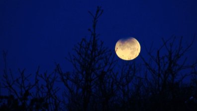 Лунно затъмнение ще гледаме тази нощ