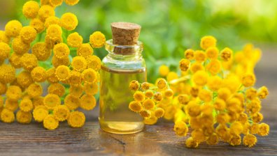 Невероятните ползи на маслото от синя вратига