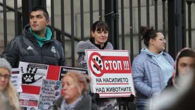 Столичани на протест в защита на кучето Мечо, искат правосъдие за насилниците на животни