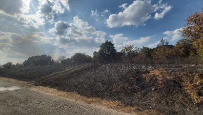 Пожарът в Свиленградско е локализиран, екипи ще дежурят през нощта