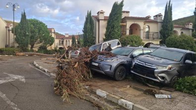 Иззеха всички документи за строежите в Елените