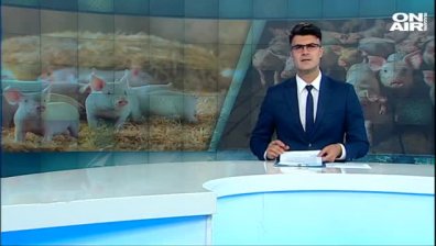Късна емисия 