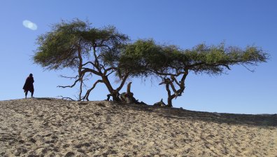 Учени: Децата ни ще имат "невиждан до момента живот" – пълен с катаклизми