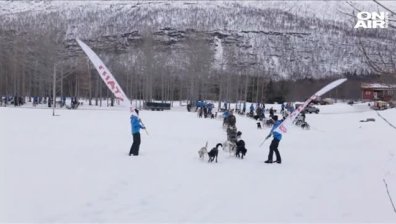Започна една от най-рисковите полярни експедиции в света