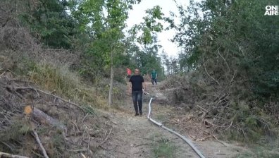Неравна битка с пожара край Арбанаси: Теренът е труднодостъпен, хората са притеснени
