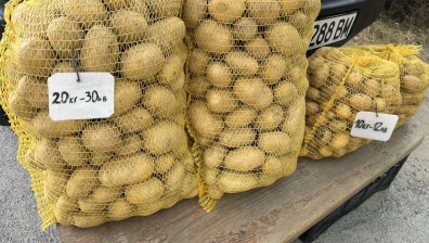 Ядем "български" картофи от Азербайджан, Полша и Германия