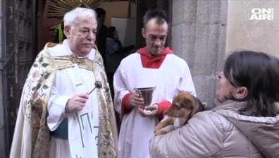 За Деня на Свети Атанасий - испанци заведоха кучетата си на църква