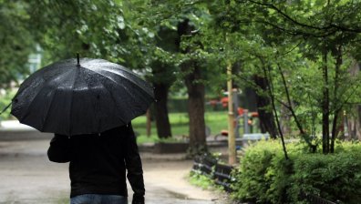Пороят в Свищов изкорени дървета и разби пътната настилка
