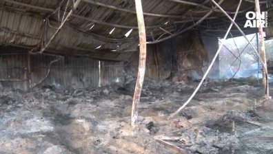 Умишлено подпалиха ферма на украинци в Петрич, щетите са за над 1 млн. лв.