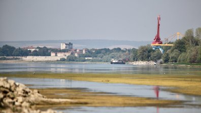 Кметът на Свищов: Воден режим в града, ако нивото на Дунав спадне още