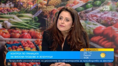 Контролът върху вноса на плодове и зеленчуци да бъде постоянна практика, искат производители