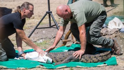 РИОСВ откри много несъответствия в документите на Кроки от "Ботунец"