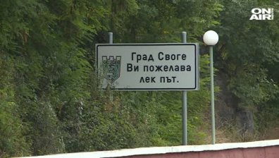 Института за пътна безопасност: Създаването на Агенция за безопасност на движението е повече от наложително