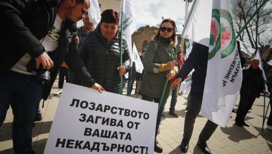 "Убивате българското лозарство" - недоволство под прозорците на властта